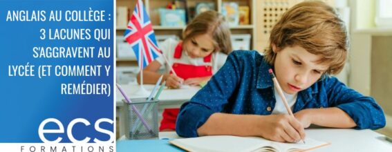 bannière ecs lacunes